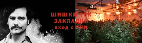 меф Дмитриев