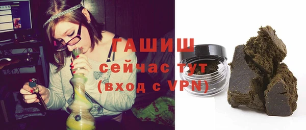 гидра Дмитров