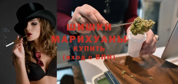 гидра Дмитров
