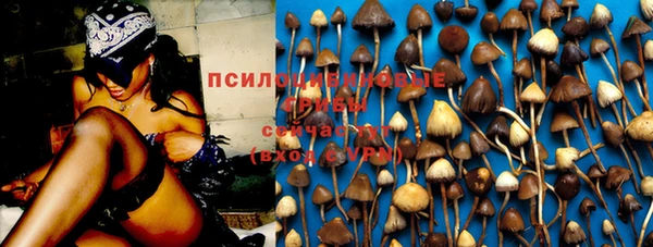 соль курить ск Дмитровск