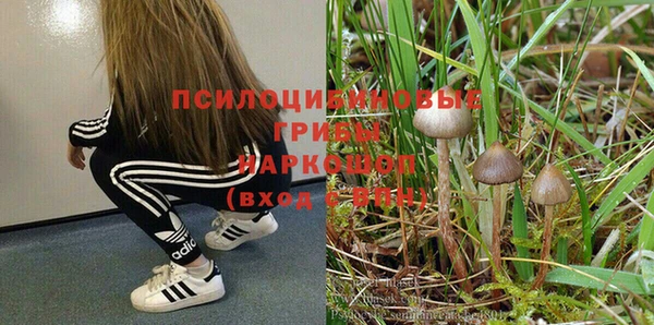 альфа пвп Елабуга