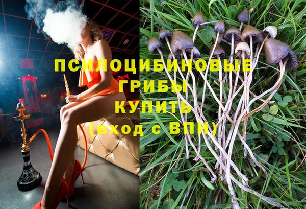 гидра Дмитров