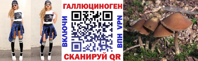 Купить закладки  Сердобск  Галлюциногенные грибы прущие грибы 